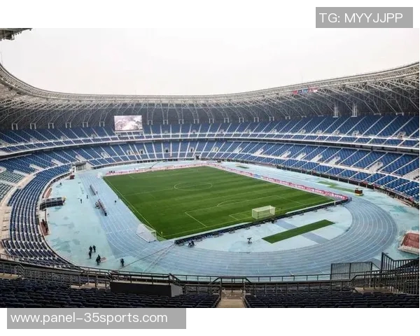 申花足球的崛起与挑战：从历史辉煌到未来展望的全景分析